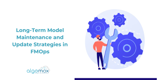 Long-Term Model Maintenance and Update Strategies in FMOps